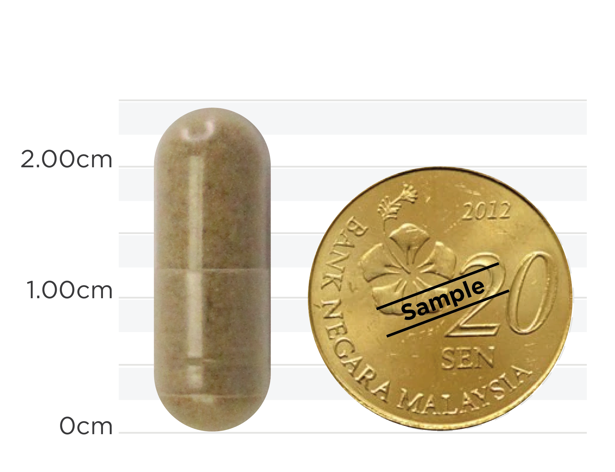 Joint Aid